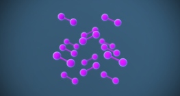 Iodine crystal