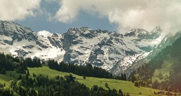 The Alps