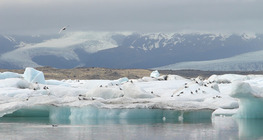 La actividad de los glaciares