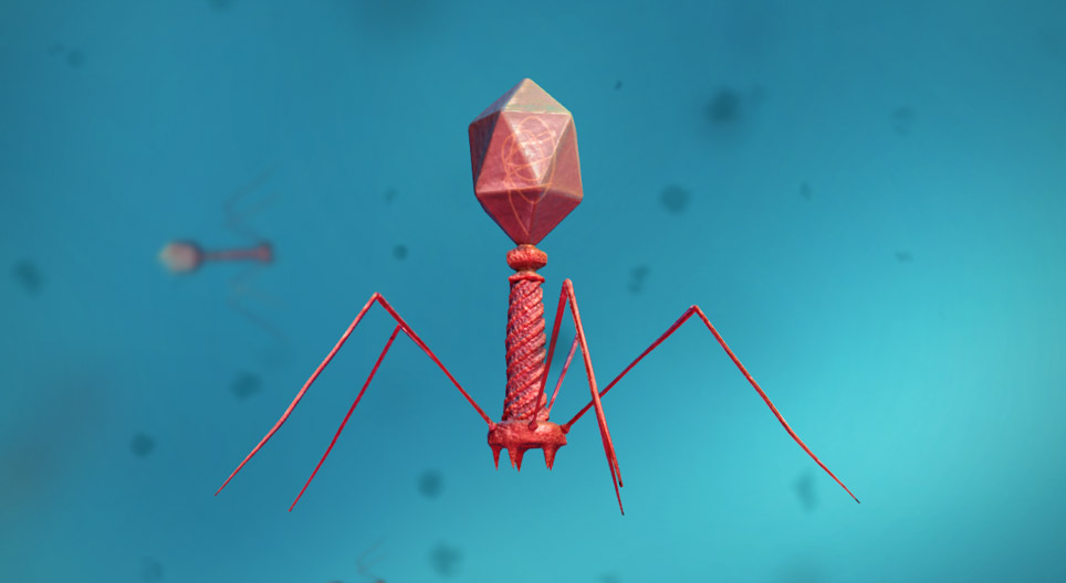 Virüsler