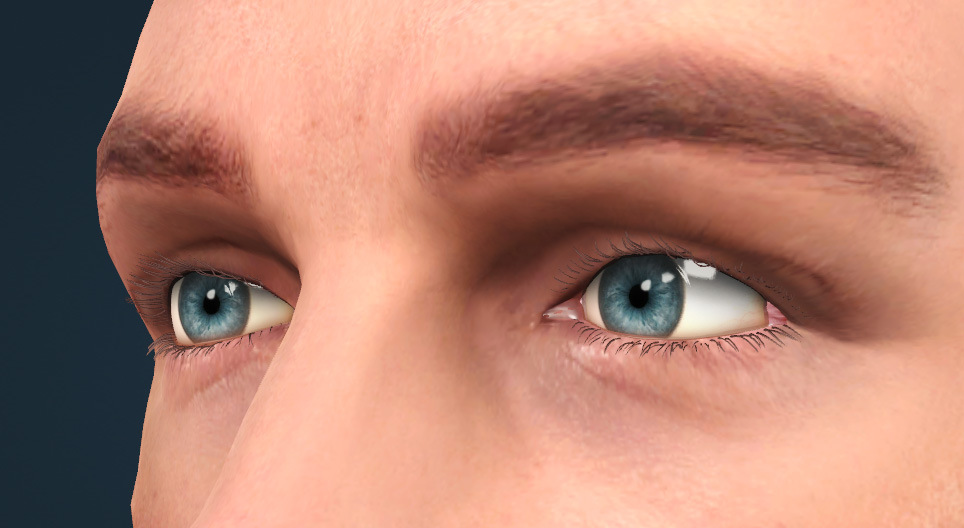 Mắt người